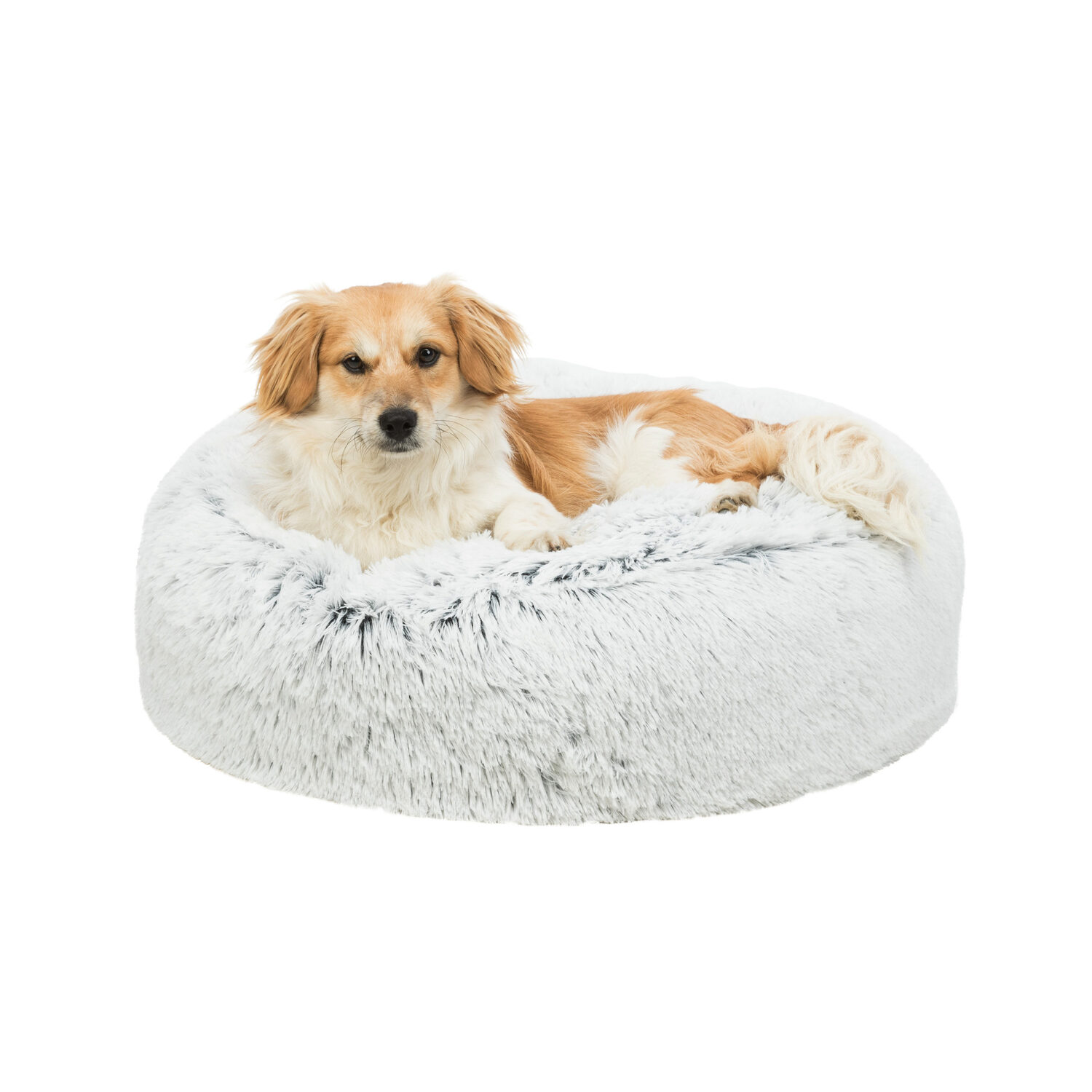 Trixie Dog Bed Harvey Dogs Shop