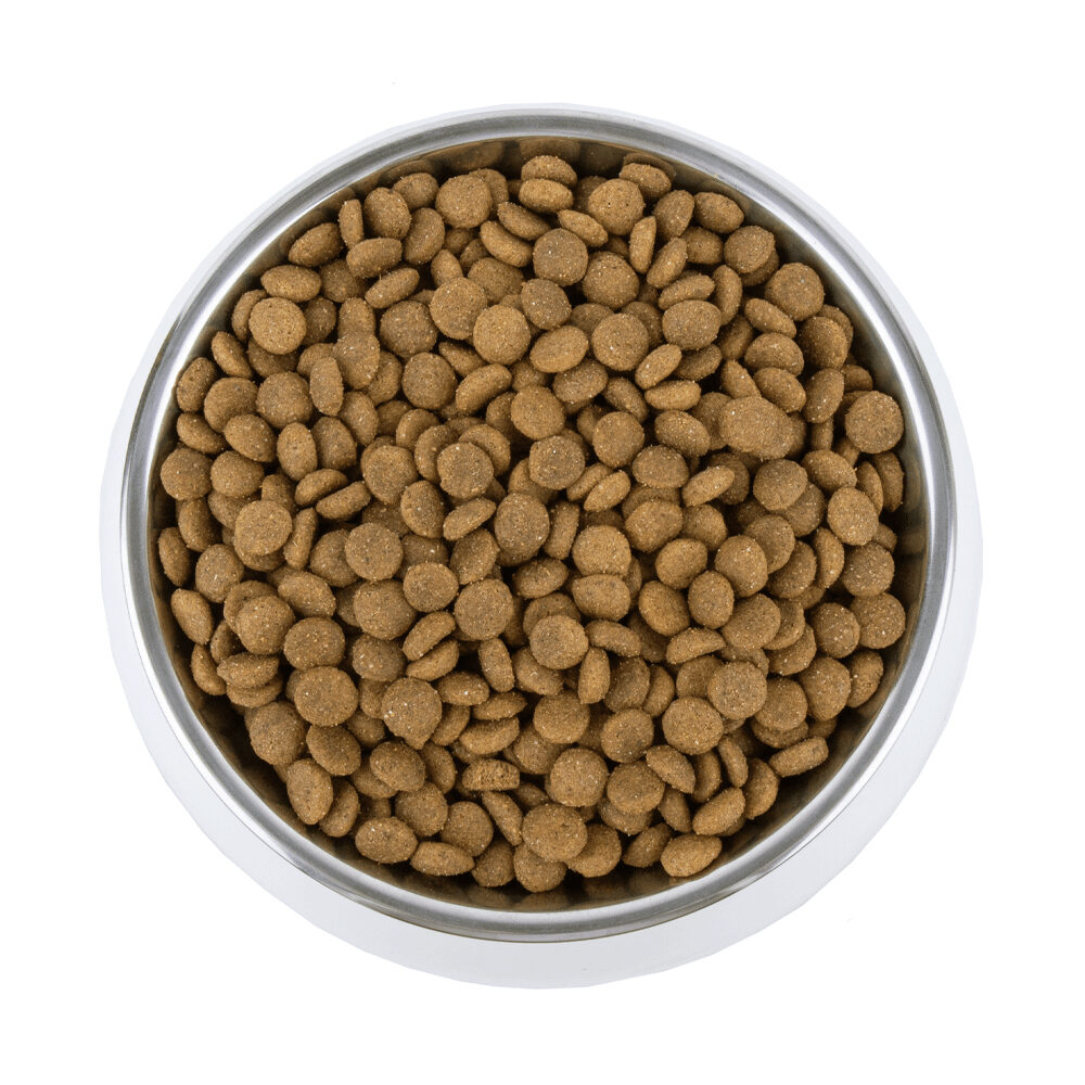 Vetality Gastrointestinal Dog Food Order