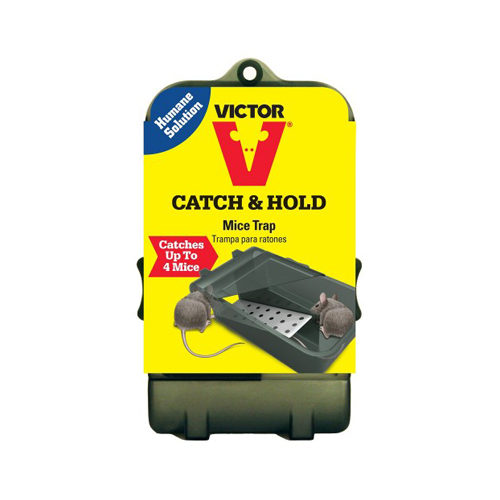 Victor Catch & Hold Muizenval Bestellen