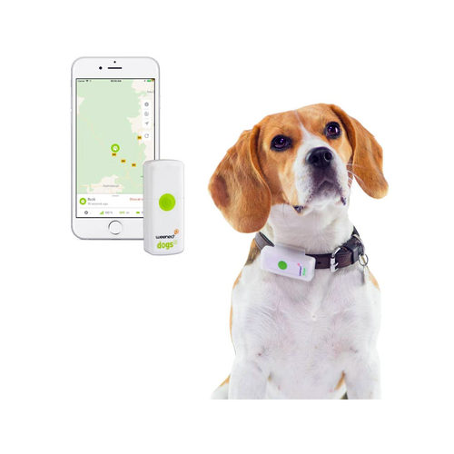 Weenect GPS Tracker Hond GPS Tracker Bestellen
