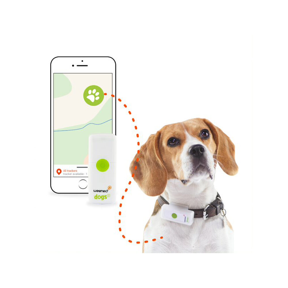Weenect GPS Tracker Hund GPS Tracker Bestellen