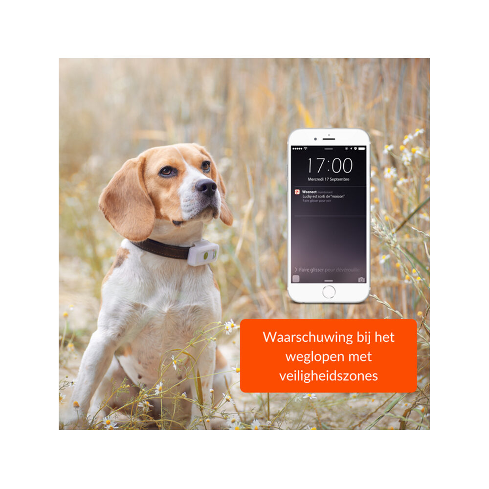 Weenect GPS Tracker Hond GPS Tracker Bestellen