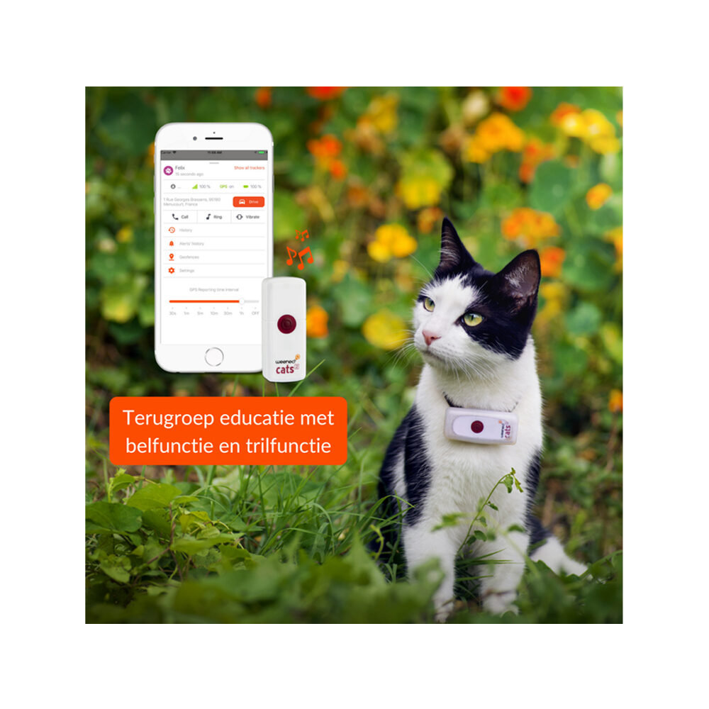 Weenect GPS Tracker Kat GPS Tracker Bestellen