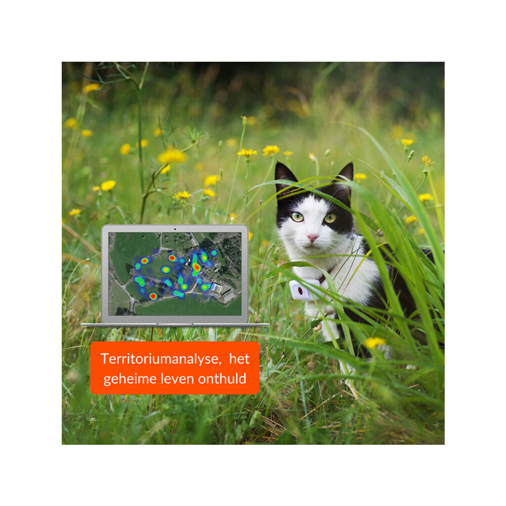 Weenect GPS Tracker Kat GPS Tracker Bestellen