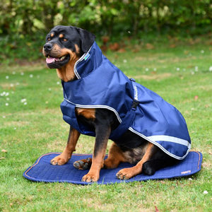 Afbeelding Bucas Recuptex Dog Bed - XL door Medpets.nl