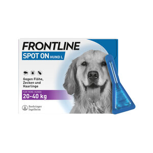 Frontline Spot-on für Hunde L (20-40 kg) – 6 Pipetten