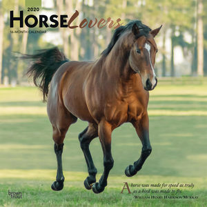 Horse Lovers Kalender 2020