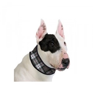 Afbeelding Aqua Coolkeeper Collar - Scottish Grey door Medpets.nl