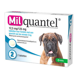 Afbeelding Milquantel Hond (12,5 mg) - 2 tabletten door Medpets.nl