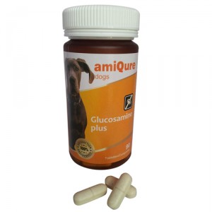 Afbeelding amiQure - Glucosamine 90 tabl. door Medpets.nl