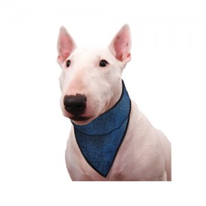 Afbeelding Aqua Coolkeeper Bandana - Blauw - XXL door Medpets.nl