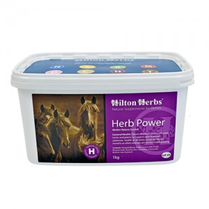 Hilton Herbs Herb Power For Horses 1 Kg hilton herbs kopen in de aanbieding