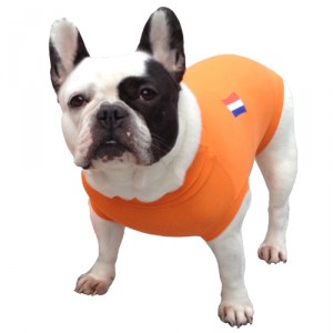 Afbeelding Medical Pet Shirt Hond Oranje - S door Medpets.nl