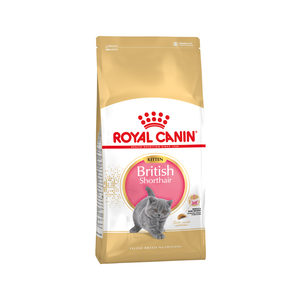 Afbeelding Royal Canin Kitten British Shorthair kattenvoer 10 kg door Medpets.nl
