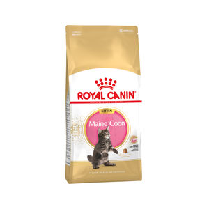 Royal Canin Maine Coon Kitten - 2 x 10 kg